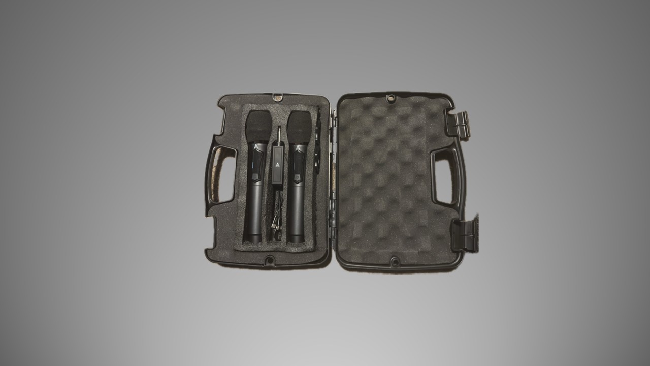 2 Wireless Mic